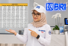 Pelaku UMKM Wajib Tahu! Ini Simulasi Angsuran KUR BRI Juli 2026 Terbaru