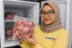 Daging Kurban Menumpuk Saat Iduladha? Pakar IPB University Bagikan Cara Penyimpanan dan Pengolahan yang Tepat