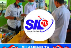 Teror Beruang di Musi Rawas Berlanjut, Seorang Petani Dilarikan ke Puskesmas