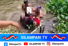 Panitia Kurban di Palembang Meninggal Tenggelam Saat Bersihkan Jeroan Sapi di Sungai