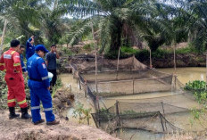 Medco E&P Grissik Dukung Budidaya Lele untuk Dorong Kemandirian Ekonomi Masyarakat