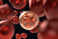 WHO Peringatkan Kasus Kanker Global Bisa Tembus 35 Juta per Tahun pada 2050