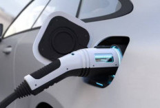 Insentif Pajak Kendaraan Listrik Dinilai Dorong Investasi dan Ekosistem Industri Baru di Daerah