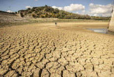 El Nino Menguat, WMO Peringatkan Ancaman Gelombang Panas, Kekeringan, dan Cuaca Ekstrem Global