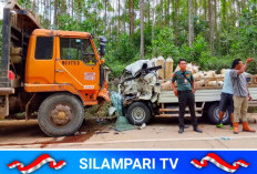 Tabrakan Maut Truk Logging vs Pikap di Jalur Alternatif PALI–Musi Rawas, Satu Orang Tewas