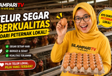 Harga Telur Terpuruk, Kementan Dorong Penambahan Menu Telur dalam Program Makan Bergizi Gratis