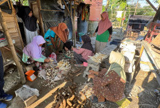 Sentuhan PHE Jambi Merang Ubah Singkong Jadi Sumber Harapan