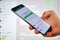 WhatsApp Uji Layanan Berbayar “Plus” Ini Fitur Premium dan Perkiraan Harganya