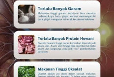 Jangan Cuma Kurang Minum! Pola Makan Ternyata Jadi Pemicu Utama Batu Ginjal, Ini Makanan yang Perlu Dibatasi