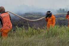 Lima Daerah di Sumsel Tetapkan Status Siaga Karhutla, Banyuasin Jadi Wilayah Terbaru