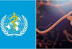 WHO Tetapkan Ebola Darurat Global, Tingkat Kematian Disebut Bisa Tembus 90 Persen