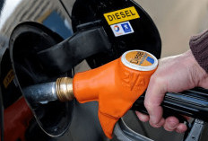 Mobil Diesel Modern Pakai Biosolar? Boleh, Tapi Ada Syarat Penting yang Harus Diperhatikan