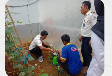 Komitmen Ketahanan Pangan, Giatja Lapas Narkotika Kelas IIA Muara Beliti Lakukan Pemantauan Rutin