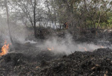 Ratusan Titik Panas Terdeteksi di Sumatera, Riau Paling Parah, Sumsel Tetap Waspada Karhutla