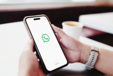 Fitur Baru WhatsApp: Kini Bisa Chat dengan Pengguna Tanpa Akun