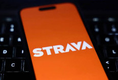 Komdigi Peringatkan 22 PSE Belum Terdaftar, Terancam Diblokir Mulai 13 Juli 2026