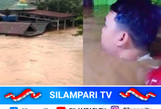 Kalimantan Selatan Diterjang Banjir, Ribuan Rumah Terendam Air