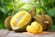 Jangan Asal Makan! Ini 7 Makanan yang Tidak Dianjurkan Dikonsumsi Bersama Durian