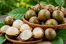 7 Manfaat Buah Matoa untuk Kesehatan, Kaya Antioksidan dan Vitamin C
