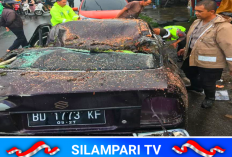 Diterjang Angin Kencang, Pohon Tumbang Rusak Dua Mobil di Pasar Atas Curup