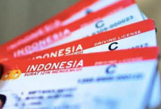 SIM Indonesia Kini Berlaku di Sejumlah Negara ASEAN, SIM Internasional Tetap Dibutuhkan?