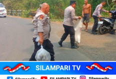 Tumpahan Solar dan Oli Bahayakan Pengendara, Dua Motor Terjatuh di Lubuk Linggau