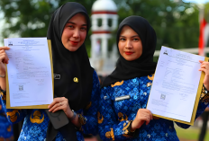 Gaji PPPK Paruh Waktu Tak Merata, Pemda Terjepit Efisiensi Anggaran