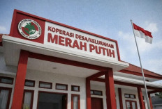 Seleksi Kompetensi Kopdes Merah Putih 2026 Segera Digelar, Ini Jadwal dan Aturan Lengkapnya