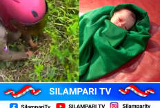 Bayi Perempuan Ditemukan di Semak-semak, Warga Empat Lawang Geger