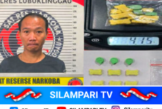 Bawa 10 Butir Ekstasi, Kurir Asal Riau Ditangkap di Lubuk Linggau