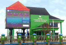BMKG Sumsel Ingatkan Warga Waspadai Paparan Sinar UV, Hujan Deras, dan Petir