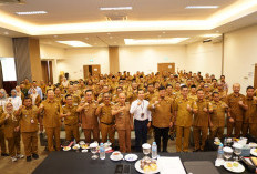 Cegah Bahaya Listrik, PLN ULP Mariana Edukasi Camat Banyuasin soal Keamanan dan Layanan Digital