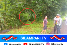 Sopir Truk Asal Banyuasin Meninggal Dunia Usai Alami Serangan Jantung di Musi Rawas