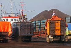 Polisi Gagalkan Pengangkutan 80 Ton Batu Bara Ilegal di OKU, Dua Sopir Truk Jadi Tersangka