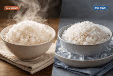 Nasi Hangat atau Nasi Dingin, Mana Lebih Sehat dan Aman?