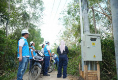 Jalankan Amanat Pemerintah, PLN Kawal Tuntas Pembangunan Infrastruktur Kelistrikan Desa Pedamaran OKI