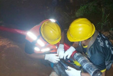 Idul Fitri, PLN ULP Lubuklinggau Perkuat Keandalan Listrik Lewat Perbaikan Saluran Kabel Tegangan Menengah