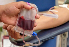 Tak Hanya Menyelamatkan Nyawa, Donor Darah Juga Bermanfaat untuk Kesehatan Tubuh
