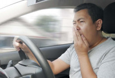 Agar Tetap Fokus Saat Mudik, Hindari Makanan Pemicu Kantuk Ini