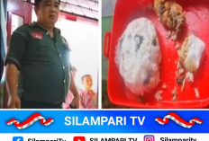 Heboh Video MBG Berjamur di Muratara, Polisi Sebut Wadah Makan Siswa Tertinggal Berhari-hari