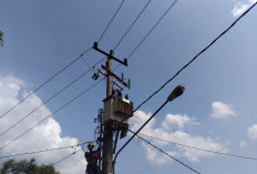 PLN ULP Tebing Tinggi Lakukan Penyeimbangan Beban Trafo dan Perbaikan Grounding di Saling