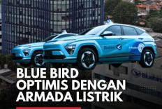 Bluebird Prime Resmi Meluncur, Gunakan Toyota Innova Zenix Hybrid dan BYD E6 untuk Layanan Taksi Premium