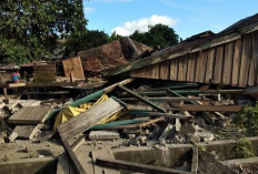 Gempa Magnitudo 6,2 Guncang Halmahera Utara, BMKG Pastikan Tidak Berpotensi Tsunami
