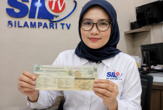 Resmi Berlaku! Provinsi Ini Hapus Denda Pajak Kendaraan dan Beri Diskon Besar