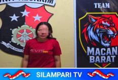 Polisi Tangkap IRT Terduga Pencuri Brondolan Sawit PT Minanga Ogan, 2 DPO