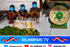 Ketahuan Curi Alpukat, 3 Pria Ditangkap Warga di Lubuklinggau, Ada Pelaku 17 Tahun
