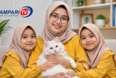 7 Alasan Memelihara Kucing Bisa Membuat Hidup Lebih Sehat dan Bahagia