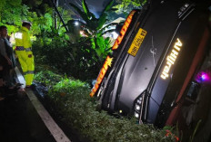 Bus PO Anugerah Terjun ke Jurang di Lahat, Evakuasi Dilakukan Dini Hari