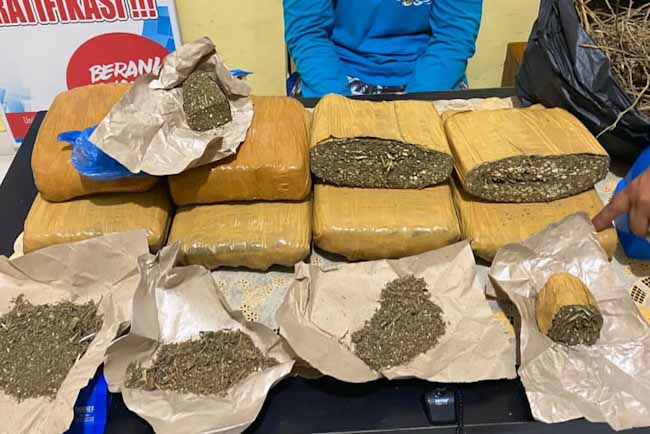 Oknum Pelajar Pembawa Ganja 7 Kilogram Ditangkap BNN di Baturaja