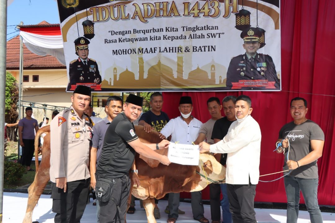 Polres Mura Berkurban 14 Sapi 7 Kambing